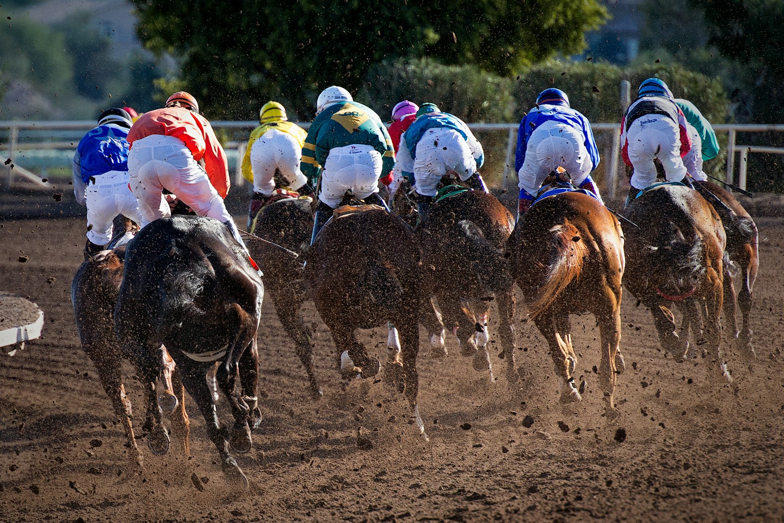 Horse racing at the track